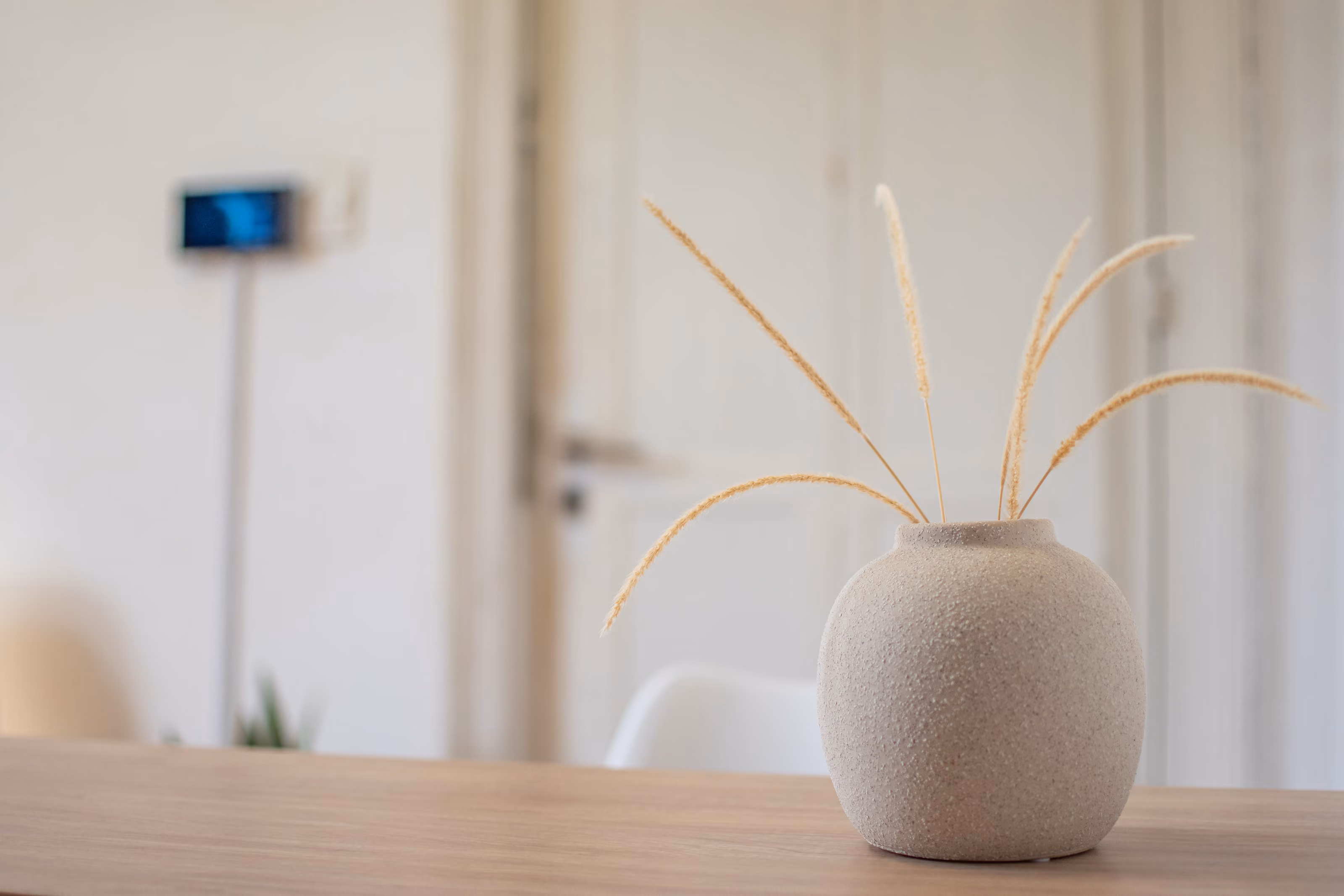 Florero con espigas secas sobre el escritorio de un consultorio y, detrás, la pantalla de ingreso en la pared.